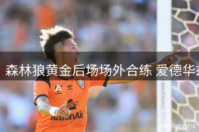 森林狼黄金后场场外合练 爱德华兹曝鲍尔连续两日家中共度